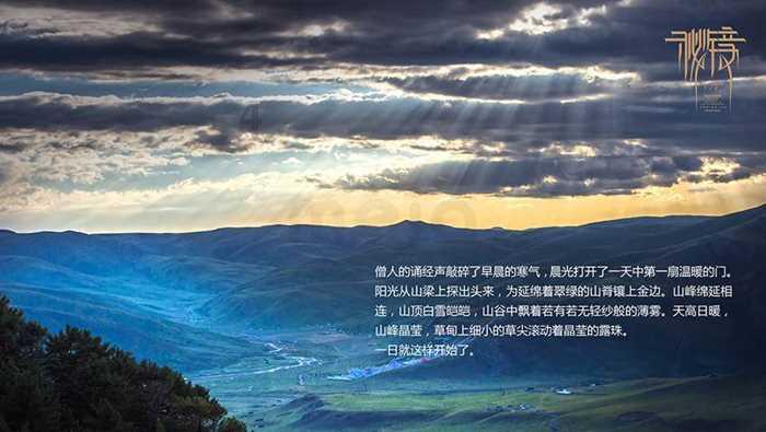 救援猫与武士
